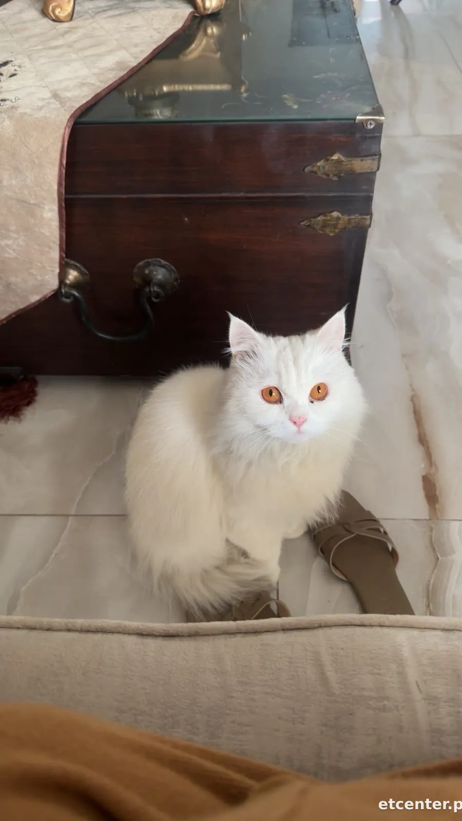 Mylo 5