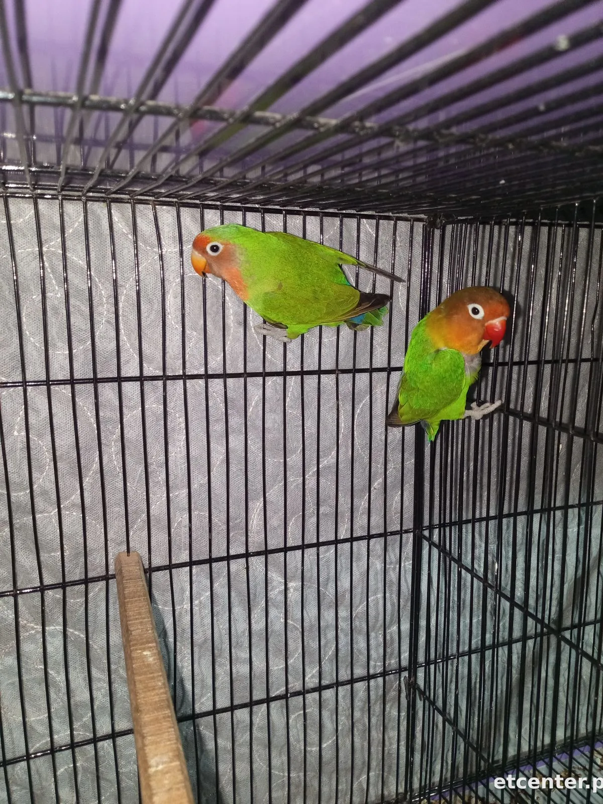 No name