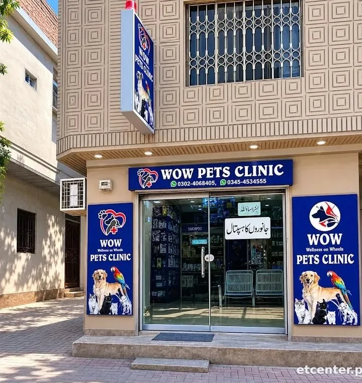Wow Pets Clinic