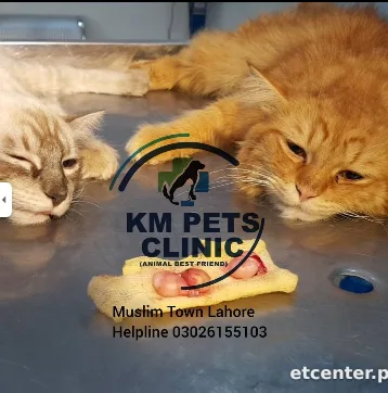 KM Pets Hospital