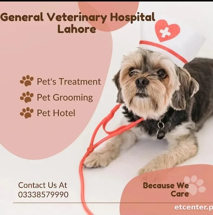General Veterinary Clinic Shalimar link road