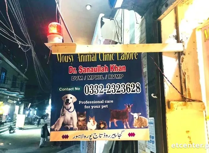 Mousy Animal Clinic Lahore