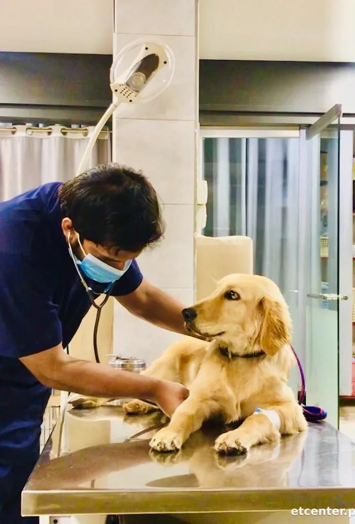 Vet plus clinic Islamabad