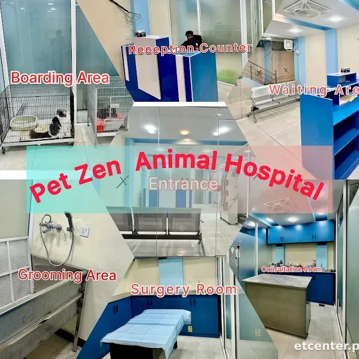 Pet Zen Animal Hospital