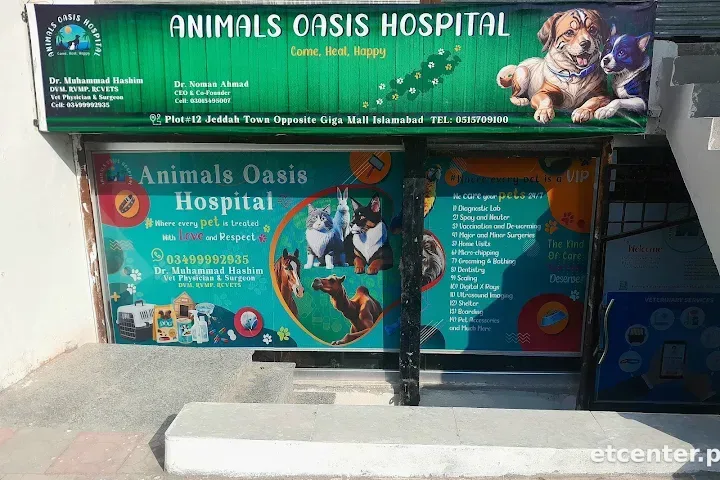 Animals Oasis Hospital Islamabad | 24/7