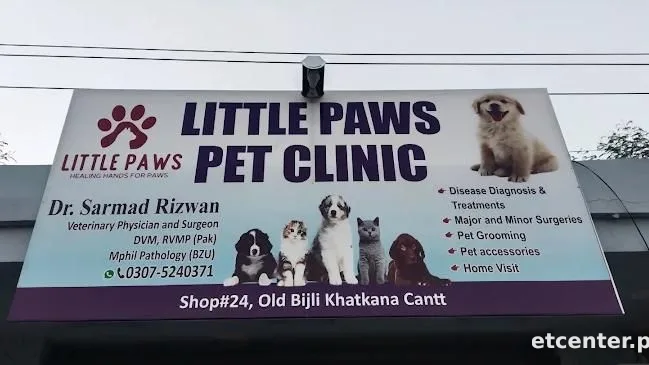 Little paws pet clinic