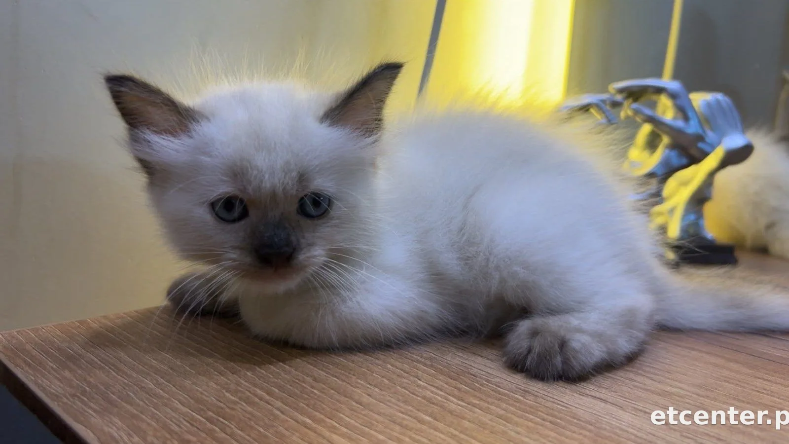 Casper