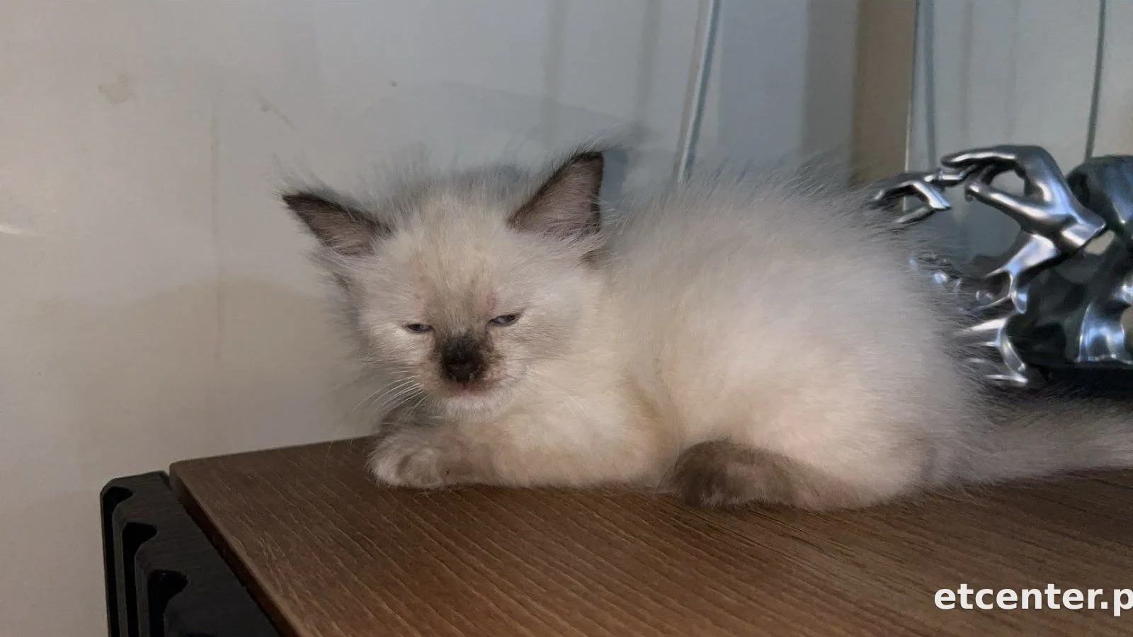 Casper 2